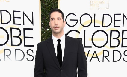 Friends Star David Schwimmer Apologizes for Diversity Comments: 'I Didn't Mean to Imply Living Single Hadn't Existed'