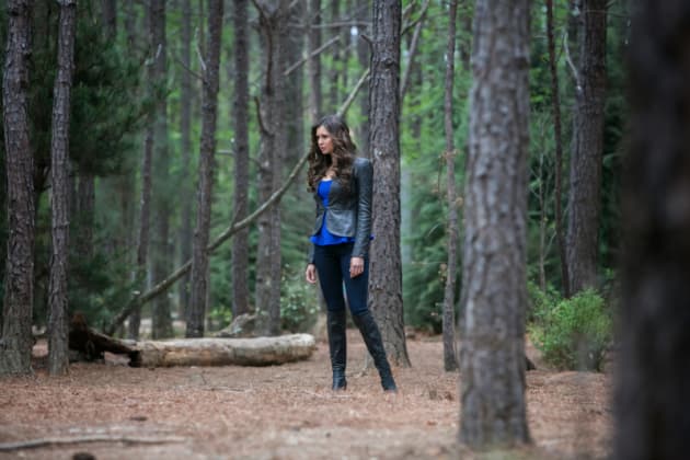 Katherine in the Woods