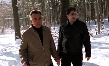 19 Integral The Sopranos Storylines You Might Have Forgotten About