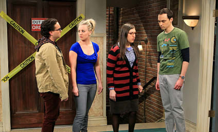 The Big Bang Theory Review: Bert and Ernie Break Up