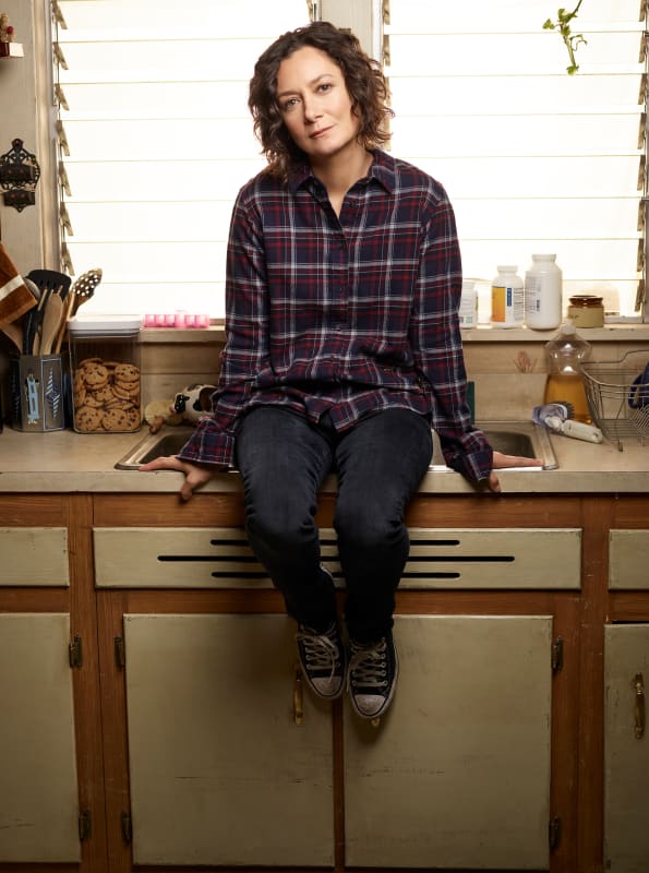 Sara Gilbert as Darlene Conner