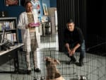 A Dogfighting Ring - NCIS