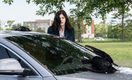 Anne Rice's Mayfair Witches Trailer: Alexandra Daddario Headlines Supernatural Drama
