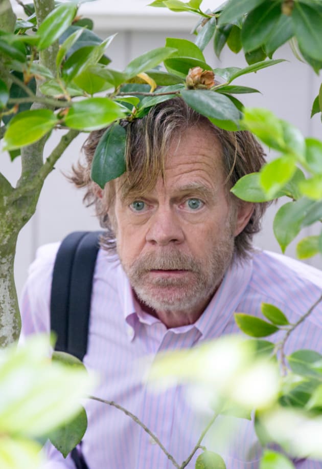 Through The Looking Bush - Shameless Season 9 Episode 1