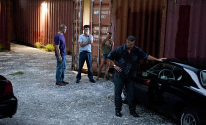 Burn Notice Review: "Dead or Alive"