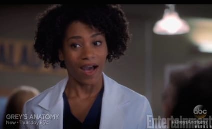 Grey's Anatomy Sneak Peek: A Sisterly Act