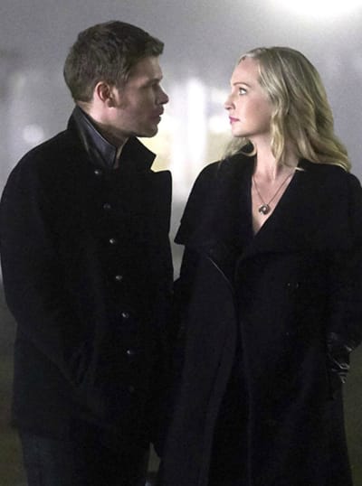 klaroline 3