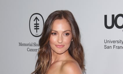 Titans: Minka Kelly and Alan Ritchson Join New DC Series