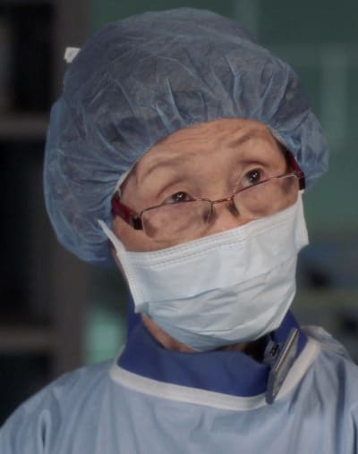 Bokhee's Wisdom -tall - Grey's Anatomy Season 18 Episode 18
