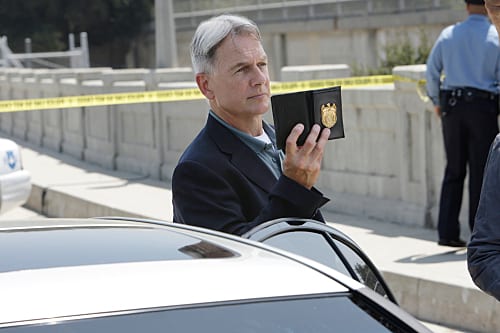 Leroy Jethro Gibbs Picture