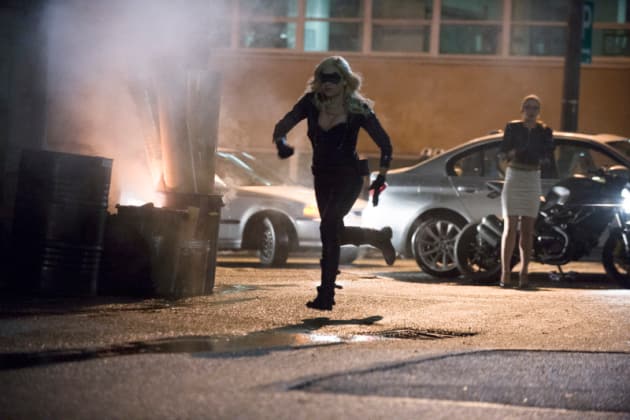 Canary in Action!