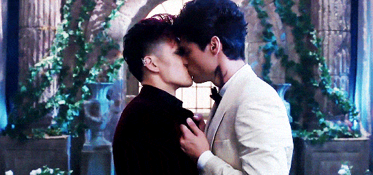 Magnus and Alec - Shadowhunters