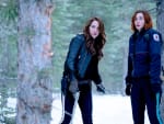 An Errand Goes Wrong - Wynonna Earp
