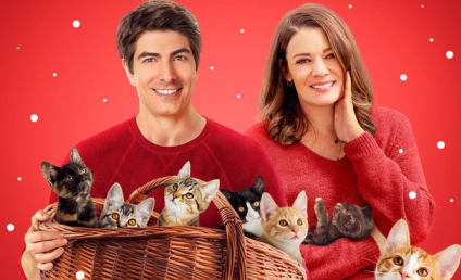 Kimberely Sustad and Brandon Routh on Reteaming for The Nine Kittens of Christmas
