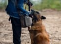 Walking dead season deals 10 episode 18 online