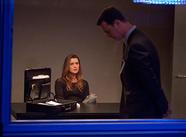 Cote de Pablo as Ziva