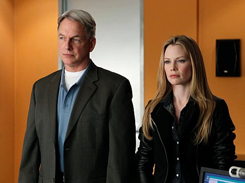 Ncis Review Don T Mess With The Great White Tv Fanatic