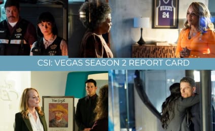 CSI: Vegas Season 2 Report Card: Best and Worst Storyline, Best New Addition, and More