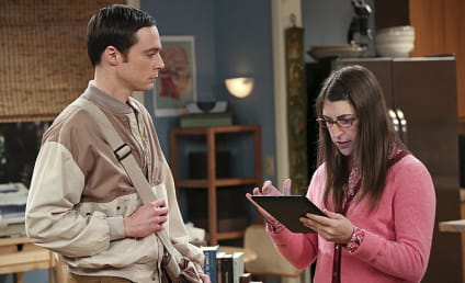 The Big Bang Theory: Watch Season 7 Episode 16 Online
