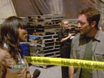 McGarrett In the Spotlight