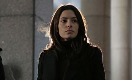 Sarah Shahi Promoted to Series Regular on Person of Interest