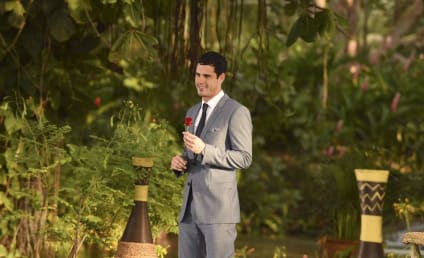 The Bachelor Page 7 TV Fanatic
