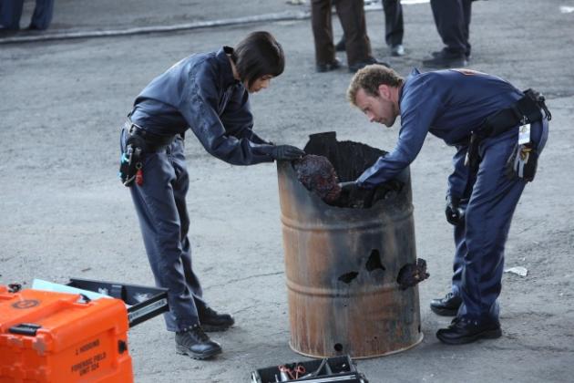 Hodgins and Cam