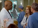 Witnesses - Grey's Anatomy