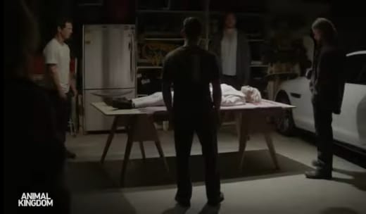 La caída de los Pitufos: Reino Animal Temporada 4 Episodio 13