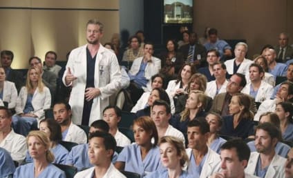 Grey's Anatomy Review: Love, Loss, Legacy, Penis Transplants
