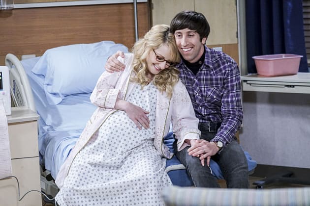 The Happy Couple The Big Bang Theory Season 10 Episode 11 TV