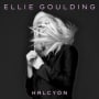 Ellie goulding dead in the water