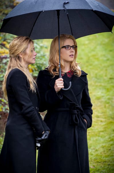 Arrow season 8 putlocker store