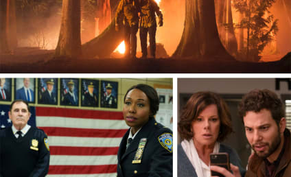 CBS Picks Up Dramas Fire Country, East New York, and So Help Me Todd to Series