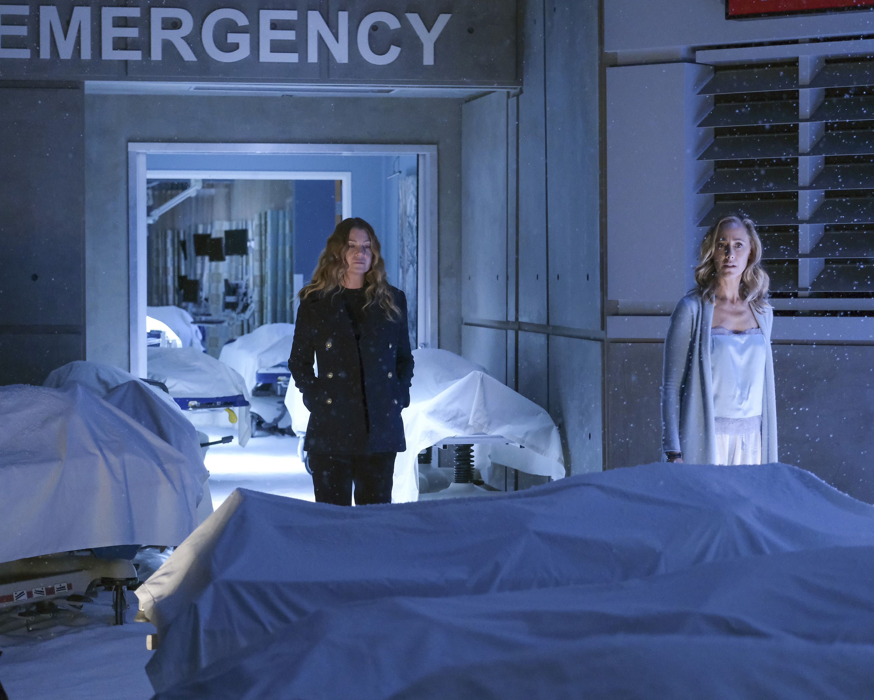 Grey's Anatomy Season 17 Episode 9 Review: In My Life - TV Fanatic