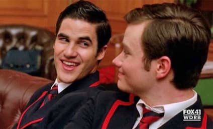 Glee Spoilers: Slow Motion and Pink Elephants to Come!