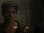 Out of the Pack - Teen Wolf