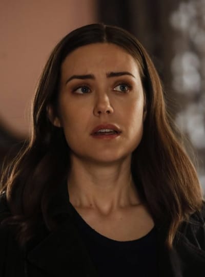The blacklist season 2025 7 episode 19 putlocker