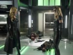Black Siren Vs Black Canary - Arrow