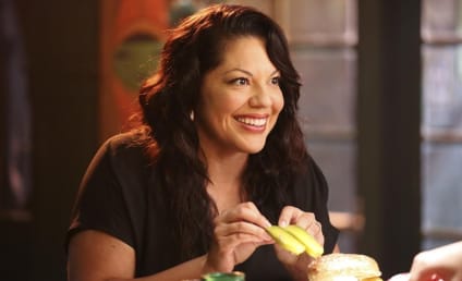 Sara Ramirez: I Would Return to Grey's Anatomy!