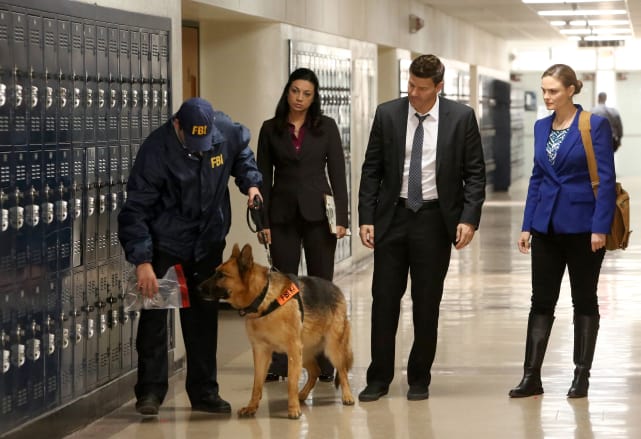 Booth and Brennan Bring in an FBI Dog - Bones Season 10 Episode 12