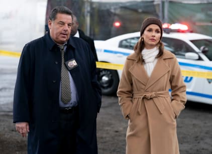 Blue bloods best sale season 10 putlocker