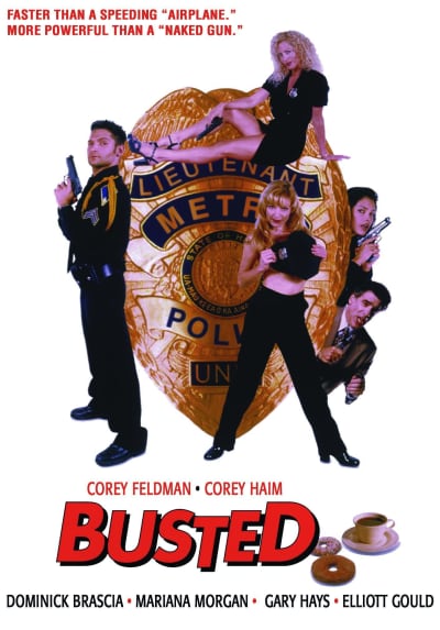 Busted poster