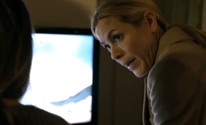 Prime suspect putlocker hot sale