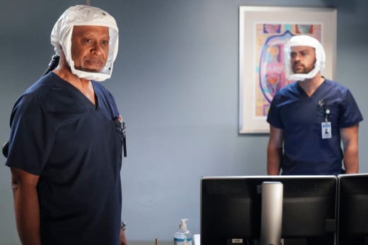 Greys anatomy online best sale s17
