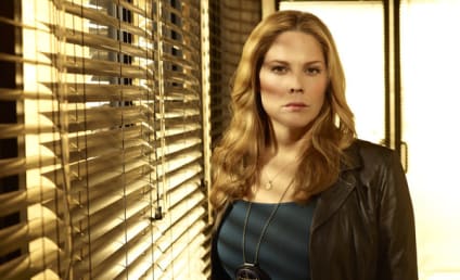 Mary McCormack Cast as Lead in New ABC Comedy