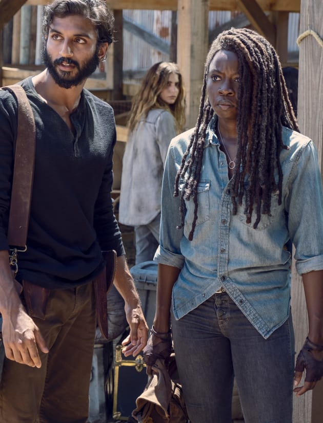 watch the walking dead season 9 free online