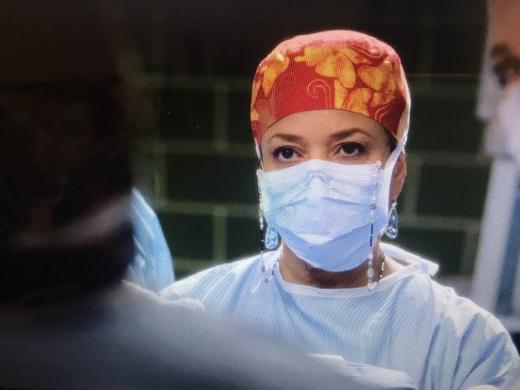 grey's s13 catherine