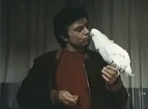 Baretta