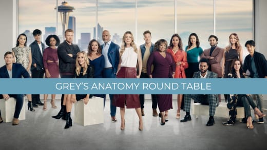 Grey's Anatomy Season 20 Round Table Image